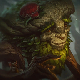 Random 5-cost champion